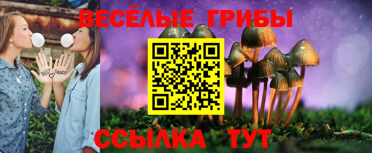 Стрежевой  Псилоцибиновые грибы прущие грибы  Вход с VPN 